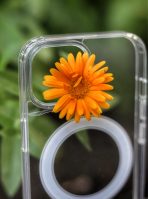 Чехол Mobile Store для Apple iPhone 14 прозрачный — изображение 2