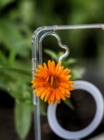 Чехол Mobile Store для Samsung Galaxy S24+ прозрачный — изображение 2