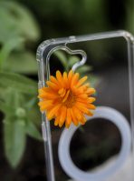 Чехол Mobile Store для Samsung Galaxy S23 прозрачный — изображение 2