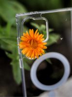 Чехол Mobile Store для Samsung Galaxy S24 Ultra прозрачный — изображение 2